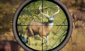 Ondo pastor shoots self during deer hunt