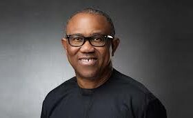 CAN probes alleged N2bn donation from Peter Obi