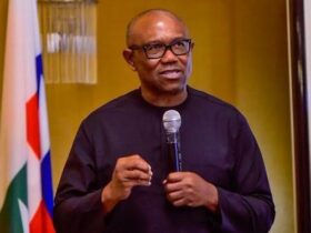 2023: We didn't endorse Peter Obi, says PFN