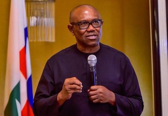 2023: We didn't endorse Peter Obi, says PFN