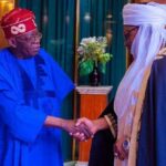 PHOTOS: Emirs Of Borgu, Kontogara visit Tinubu