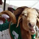 Seven facts about Eid-el-Kabir